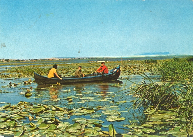 2001-1 - Delta Dunării. Murighiol